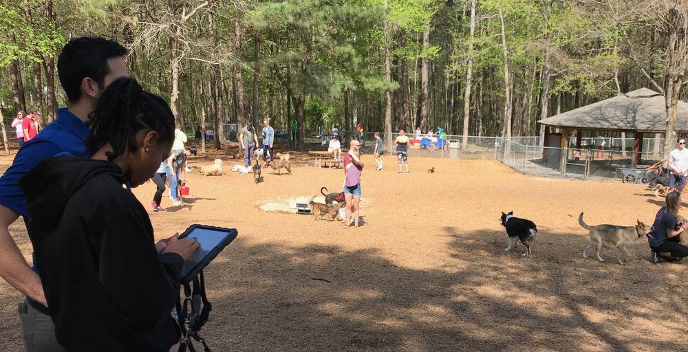 Raleigh Dog Park Survey