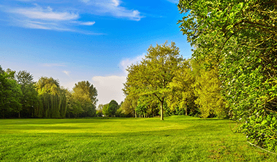 The Need For a Holistic Approach: Online + Offline Engagement